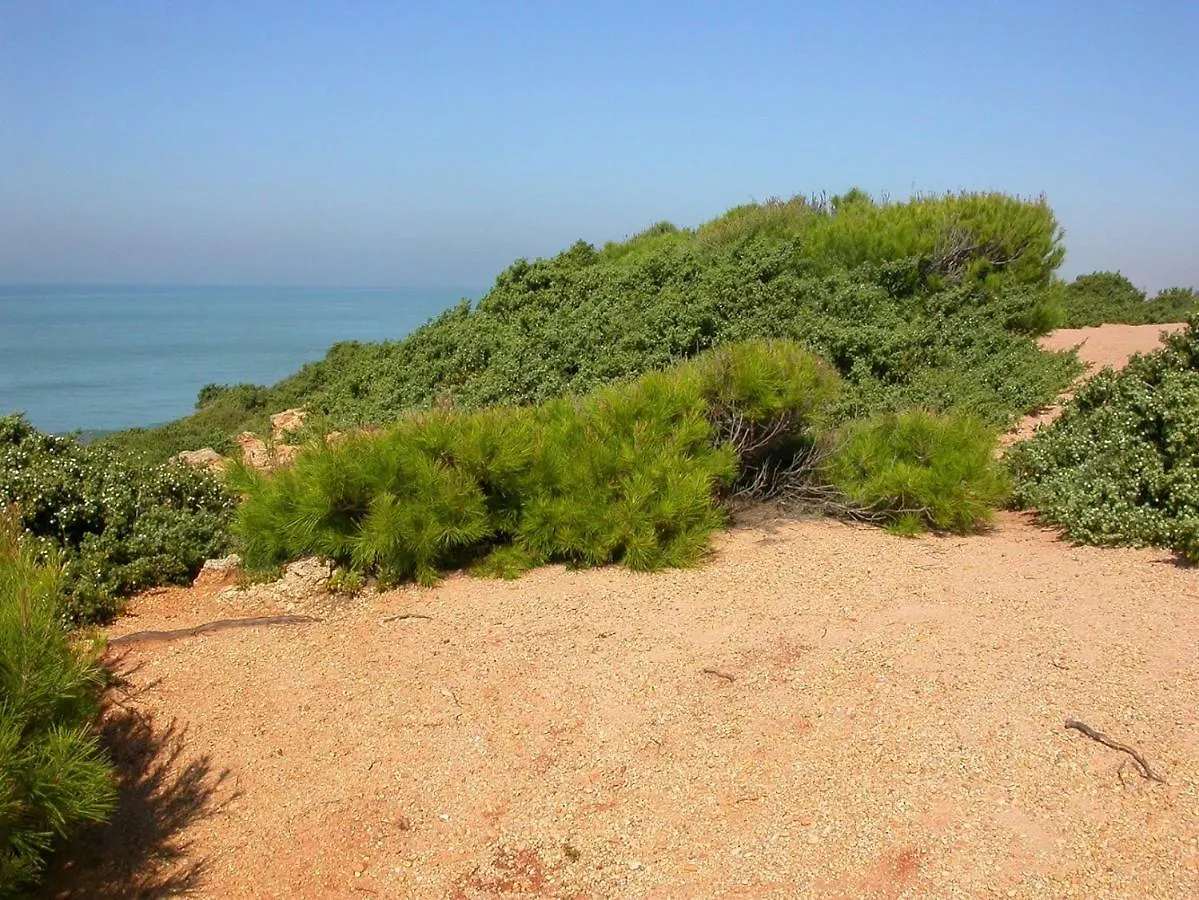 Chalet En Roche Villa Conil De La Frontera Spain
